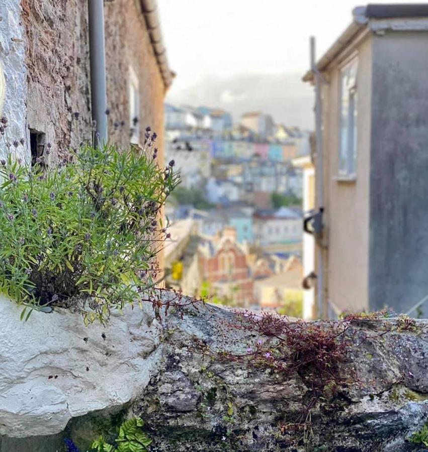 Saltys Cottage, Brixham - 2 Min Walk To The Harbour 외부 사진